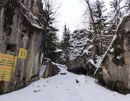 Wolf's Lair Tour