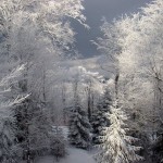 Beskid Mountains - Poland