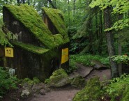 Wolf's Lair Tour