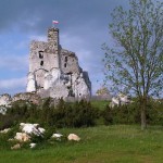 Eagle Nests Trail