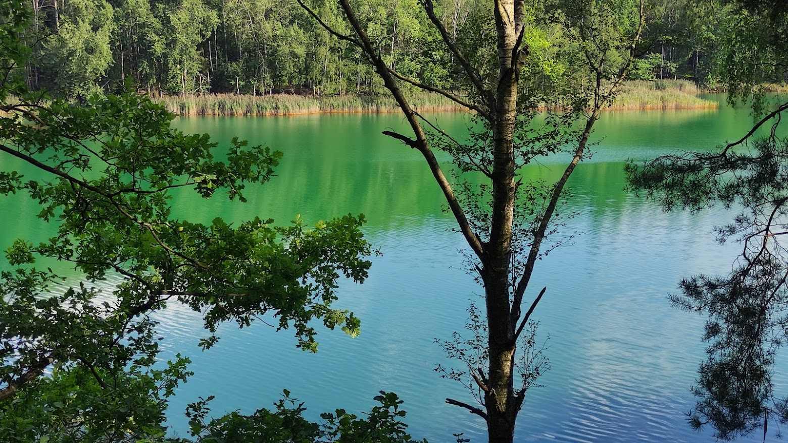 Green lake