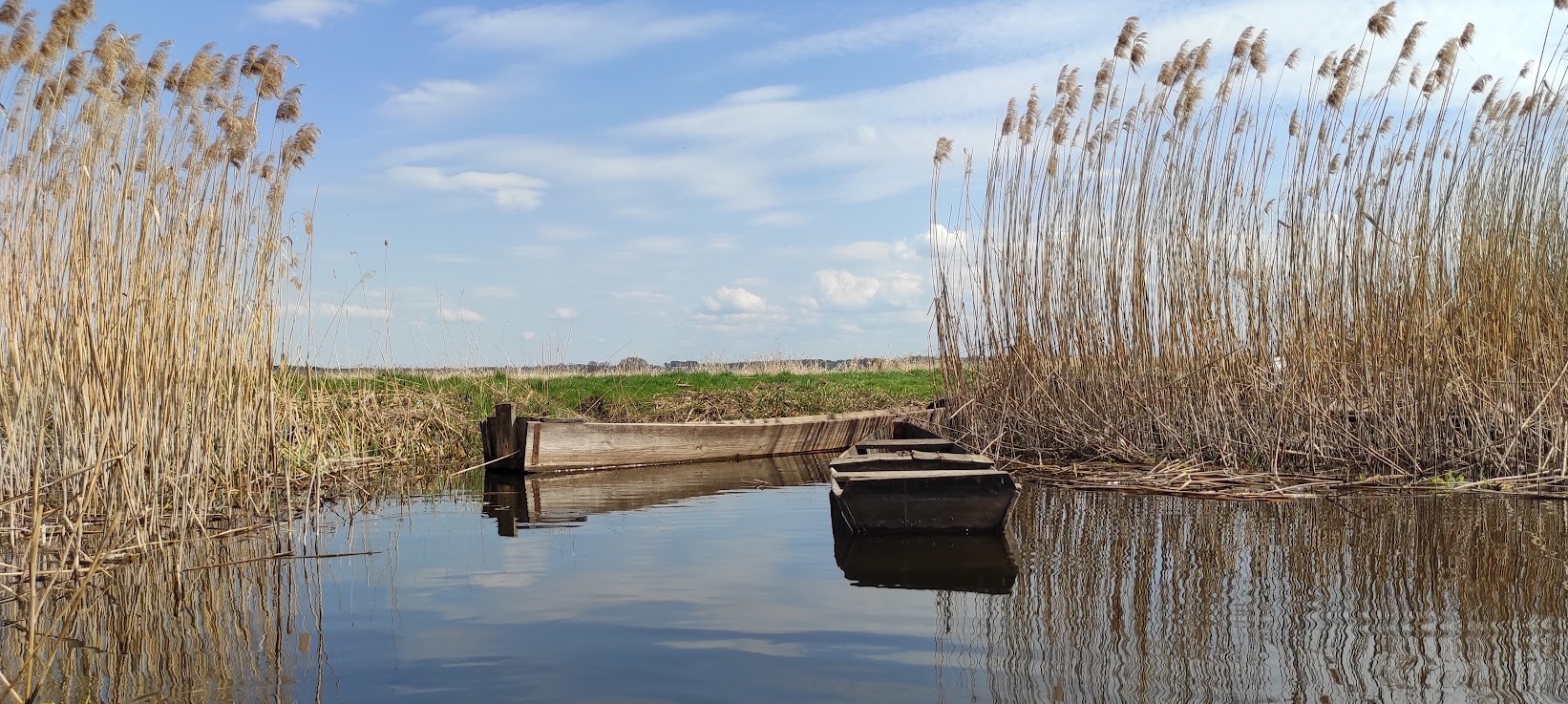 Biebrza river