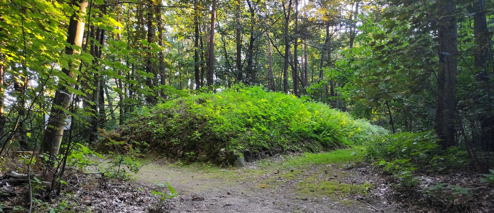 megaliths in Poland